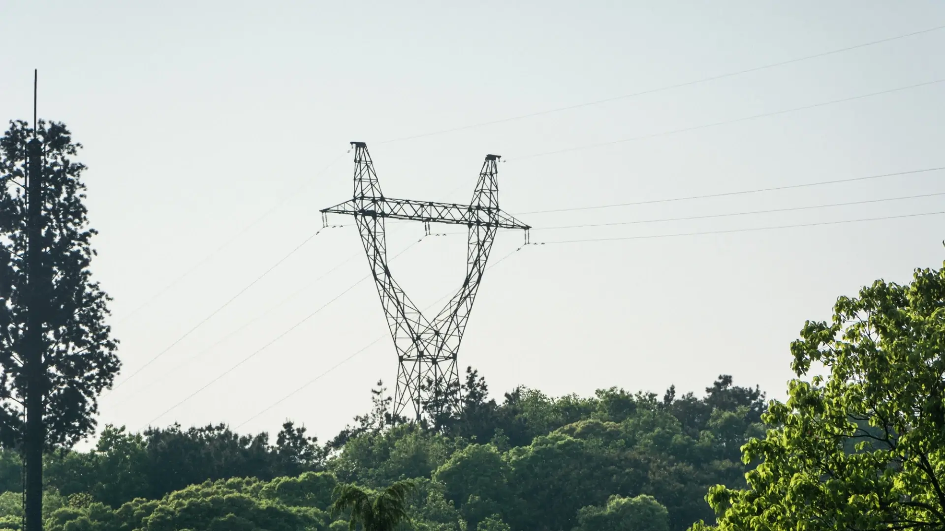 Power Transmission and Distribution